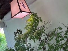 -汤宴·参须肚包鸡(南京路店)