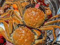 -争先鲜·蒸汽海鲜自助·鲜切牛肉