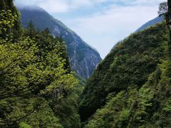 -鹿院坪生态旅游景区