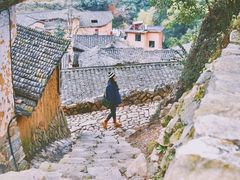 -杨家堂村