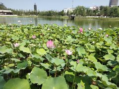 -西海子公园