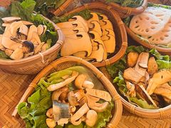 -滇野云南野生菌餐厅(陕西南路店)