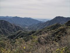 -大岭沟猕猴桃谷风景区