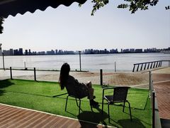 -游心咖啡(青山滨江店)