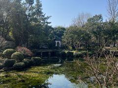 -秋霞圃