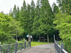 -上海怡沁园度假酒店