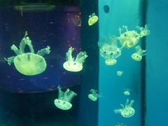 -石林冰雪海洋世界