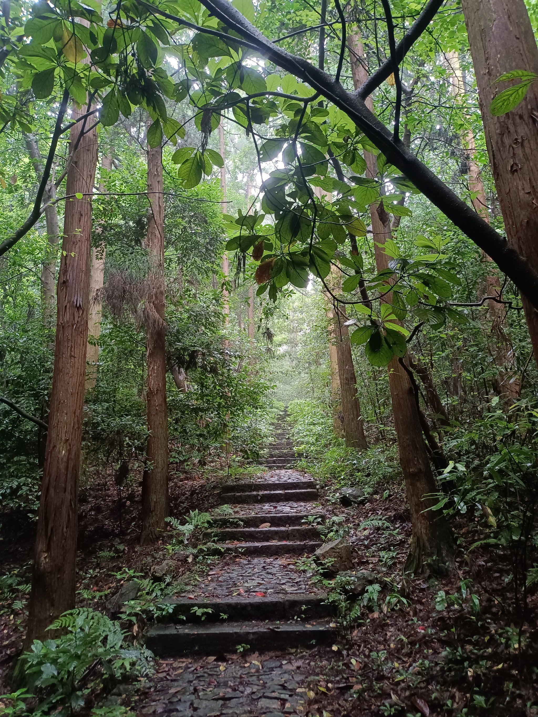 曲径通幽的山间路
