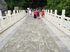 -东湖落雁景区
