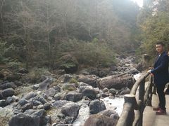 -花岩国家森林公园