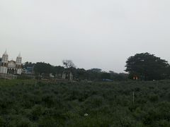 -松山湖梦幻百花洲