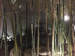 -三江森林温泉度假区