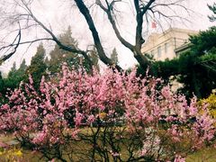 -辽宁大学(崇山校区)