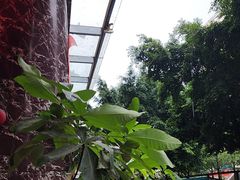 -肥仔顺德菜(龙悦居店)