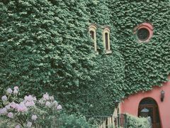 -三鹰之森吉卜力美术馆