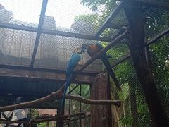 -清迈夜间动物园