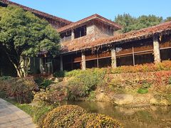 -中国茶叶博物馆(双峰馆区)