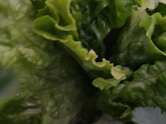 -郭记烤肉创始店(民丰大街店)