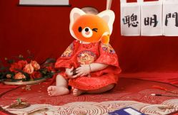 -小熊维尼高端儿童摄影(宝安旗舰店)