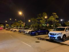-迪士尼乐园停车场