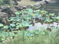 -东山雕花楼