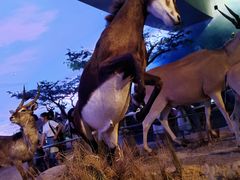 -天津自然博物馆