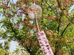 -香雪海