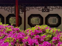 -常州古运河南大街文化旅游区-人民公园