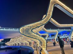 -演武大桥观景平台