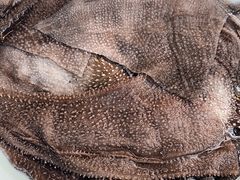 -凤来栖·净庭院·火锅(欧尚店)