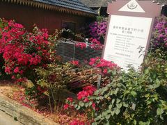 -西双版纳傣族园
