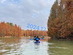 -上海海湾国家森林公园