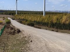 -塞罕坝国家级自然保护区