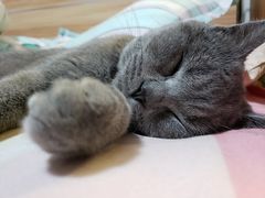 -康成宠物医院24H·CT·核磁共振