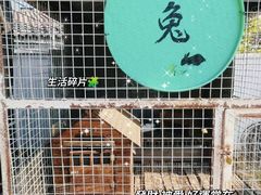 -元鼎宝驴香·全驴宴(江宁店)