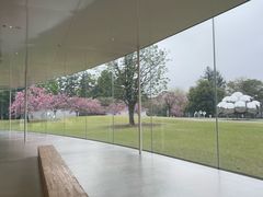 -金泽21世纪美术馆