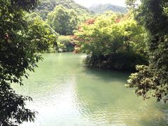 iphone_upload_pic-九溪烟树