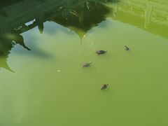 -太平禅寺