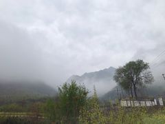 -秦岭风景区