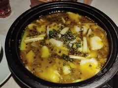 青花椒老坛酸菜鱼-拈菜(观音桥阳光世纪店)