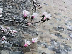 -东华门大街小区