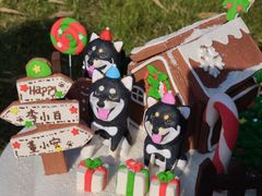 -前小桔亲子创意农场·草莓采摘·露营烧烤