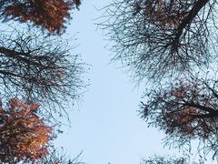 -青山湖景区