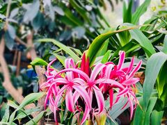 -国家植物园南园