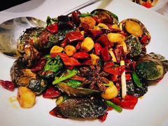 辣炒小鲍鱼-开海·红岛海鲜虾水饺(石老人店)