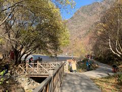 -叠溪松坪沟景区