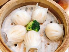 -潍城老菜馆·地标美食