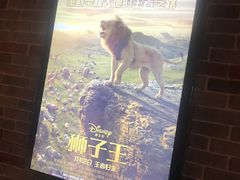 -华美国际影城(旧宫永辉店)