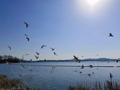 -渤公岛生态公园