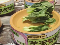-龍歌自助小火锅(李沧丽达店)